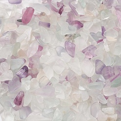 Fluorite Natural Fluorite Beads, No Hole/Undrilled, Chip, 3~10x2~5x1~3mm, about 13880pcs/1000g