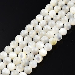 White Shell Natural White Shell Bead Strands, Round, 5mm, Hole: 1mm, about 79~81pcs/strand, 15.16 inch~15.75 inch(38~40cm)