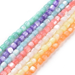 Mixed Color Natural Trochus Shell Beads Strands, Dyed, Column, Mixed Color, 3.5x3.5mm, Hole: 0.8mm, about 113pcs/strand, 15.59''(39.6cm)