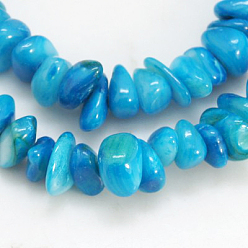 Bleu Ciel Foncé Chapelets de perles de coquillage naturel, teint, puces, bleu profond du ciel, 5~12x5~8x1~6mm, Trou: 1mm