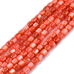 Оранжево-Красный Естественных пресноводных оболочки бисер нитей, окрашенные, колонка, оранжево-красный, 3.5x3.5 мм, отверстие : 0.8 мм, около 110~113 шт / нитка, 14.69 дюйм ~ 15.08 дюйм (37.3~38.3 см)