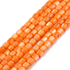 Темно-Оранжевый Естественных пресноводных оболочки бисер нитей, окрашенные, колонка, темно-оранжевый, 3.5x3.5 мм, отверстие : 0.8 мм, около 110~113 шт / нитка, 14.69 дюйм ~ 15.08 дюйм (37.3~38.3 см)