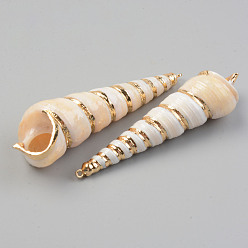 Coquillage De Mer Pendentifs en spirale naturelle galvanoplastie, avec les accessoires en laiton dorés, coquille de vis, couleur de coquillage, 56.5~73.5x15~20mm, Trou: 1.6mm