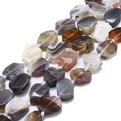 Botswana Agate Natural Botswana Agate Beads Strands, Nuggets, 13~17x11~13x4~6mm, Hole: 0.8mm, about 24~25pcs/strand, 16.54 inch(42cm)