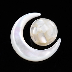 Cáscara Blanca Conjunto de cuentas de concha blanca natural, luna con ronda, Luna: 15x12.5x3.5 mm, ronda: 8 mm, agujero: 0.8 mm, sobre 2 PC / sistema