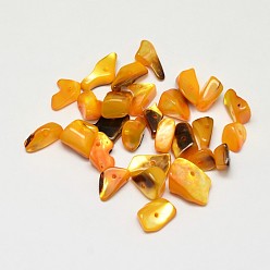 Naranja Pepitas de concha natural teñidas chips cuentas, naranja, 11~16x6~9 mm, agujero: 1 mm, Sobre 980 unidades / 500 g