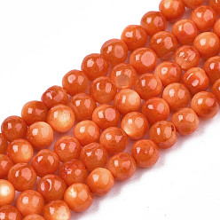 Coral Natural Freshwater Shell Beads Strands, Dyed, Round, Coral, 4mm, Hole: 0.8mm, about 97~99pcs/strand, 14.88 inch~15.16 inch(37.8~38.5cm)