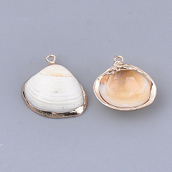 Coquillage De Mer Pendentifs de coquille de galvanoplastie, avec les accessoires en fer, or, couleur de coquillage, 26~40x25~42x8~15mm, Trou: 1.5~1.8mm