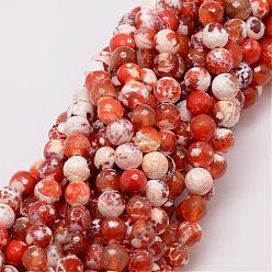 Chocolate Natural Fire Crackle Agate Bead Strands, Dyed, Faceted, Round, Chocolate, 8mm, Hole: 1mm, about 47pcs/strand, 14 inch