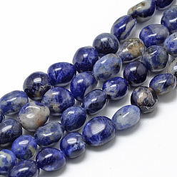 Sodalite Natural Sodalite Beads Strands, Oval, 8~15x7~12x4~12mm, Hole: 1mm, about 30~45pcs/strand, 15.7 inch