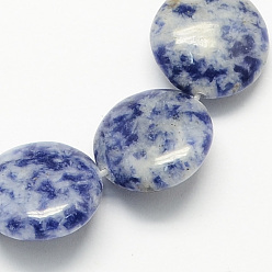 Jaspe Avec Point Bleu Perles de jaspe tache bleue naturelle, plat rond, 12x5mm, Trou: 1mm, Environ 33 pcs/chapelet, 15.7 pouce