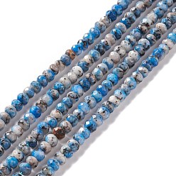 Bleu Ciel Foncé Brins de perles rondelles de jaspe de sésame naturel teint/jaspe de kiwi, facette, bleu profond du ciel, 6x4mm, Trou: 1mm, Environ 87 pcs/chapelet, 14.76~15.16 pouce (37.5~38.5 cm)