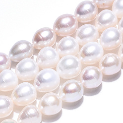 Seashell Color Natural Cultured Freshwater Pearl Beads Strands, Rice, Seashell Color, 8~12x9~9.5mm, Hole: 0.7~0.8mm, about 36~38pcs/strand, 14.37 inch(36.5cm)