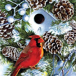 Птица Diy рождественская тема прямоугольный набор для алмазной живописи, включая сумку со стразами из смолы, алмазная липкая ручка, поднос тарелка и клей глина, птица, 400x300 мм