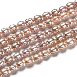 Rosy Brown Natural Cultured Freshwater Pearl Beads Strands, Rice, Dyed, Rosy Brown, 5~7x4mm, Hole: 0.6mm, about 60pcs/strand, 14.17 inch(36cm)