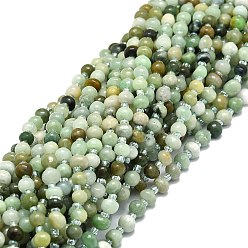 Myanmar Jade Brins de perles de jade myanmar naturel, rondelle irrégulière, 6~7x5~6x4~5mm, Trou: 1mm, Environ 52 pcs/chapelet, 15.55'' (39.5 cm)