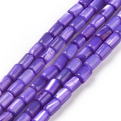 Сине-фиолетовый Натуральные бусины из ракушек трохуса, окрашенные, колонка, синий фиолетовый, 5x3 мм, отверстие : 0.8 мм, около 82~83 шт / нитка, 15.63'' (39.7 см)