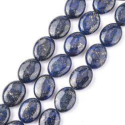 Lapis Lazuli Natural Lapis Lazuli Beads Strands, Flat Oval, 16~17x12~13x5~6mm, Hole: 0.8mm, about 25pcs/strand, 15.55''(39.5cm)