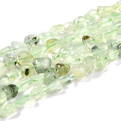Prehnite Perles naturelles préhnite brins, nuggets, pierre tombée, 5~8.5x5.5~7x3.5~4mm, Trou: 0.7mm, Environ 60~66 pcs/chapelet, 13.8 pouce (35 cm)