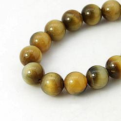Verge D'or Foncé Chapelets de perles oeil de tigre naturelles, teint, ronde, verge d'or noir, 10mm, Trou: 1mm
