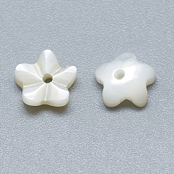 Coquillage De Mer Perles naturelles de coquillages blancs, perles en nacre, fleur, couleur de coquillage, 6x6x2mm, Trou: 0.8mm