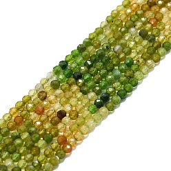 Tourmaline Natural Tourmaline Beads Strands, Faceted, Round, 3mm, Hole: 0.7mm, about 132pcs/strand, 15.16''~15.55''(38.5~39.5cm)