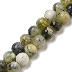 Opale Verte Naturel, vert opale brins de perles, ronde, 8mm, Trou: 0.8mm, Environ 48 pcs/chapelet, 15.35'' (39 cm)