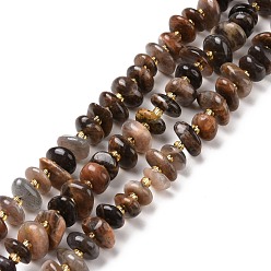 Pierre De Soleil Brins de perles de sunstone noirs naturels, puce, 5~18x3~9x2~5mm, Trou: 1mm, Environ 67~69 pcs/chapelet, 15.55'' (39.5~40 cm)