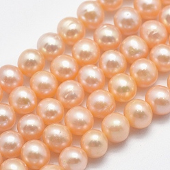Orange Natural Cultured Freshwater Pearl Beads Strands, Potato, Orange, 6~7x5.5~6mm, Hole: 0.8mm, about 58~60pcs/strand, 14.17~14.37 inch(36~36.5cm)