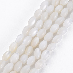 Seashell Color Natural Freshwater Shell Beads Strands, Rice, Seashell Color, 5x3mm, Hole: 0.9mm, about 83~85pcs/strand, 15.55 inch~15.75 inch(39.5~40cm)