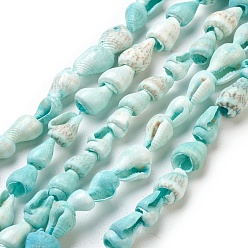 Aigue-marine Coquille en spirale brins de perles, teint, aigue-marine, 6mm, Trou: 0.5~1mm, Environ 150~170 pcs/chapelet, 56 pouce (142.2 cm)
