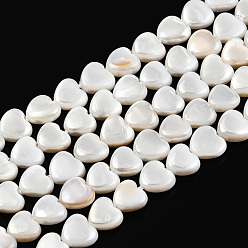Freshwater Shell Natural Freshwater Shell Beads Strands, Heart, 6~7x6.5~7x2.5~3mm, Hole: 0.5mm, about 57~58pcs/strand, 14.96 inch~15.55 inch(38~39.5cm)