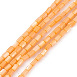 Orange Natural Freshwater Shell Dyed Beads Strands, Column, Orange, 4.8x3mm, Hole: 0.8mm, about 78pcs/strand, 14.96''(38cm)