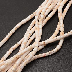 Bisque Column Natural Spiral Shell Red Lip Shell Beads Strands, Bisque, 4~5x4~5mm, Hole: 1mm, about 133pcs/strand, 23.6 inch