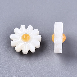Seashell Color Natural Freshwater Shell Beads, Flower, Seashell Color, 10x4.5mm, Hole: 0.8mm.