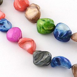 Coloré Nuggets de coquille d'eau douce naturels teints brins de perles, colorées, 13~18x10~18x8~15mm, Trou: 1mm, Environ 24 pcs/chapelet, 15.7 pouce