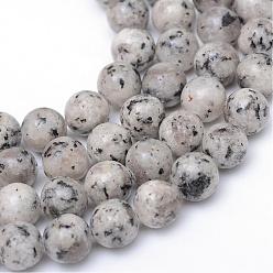 Gris Clair Jaspe de sésame naturel / brins de perles de jaspe kiwi, ronde, gris clair, 8~9mm, Trou: 1mm, Environ 46~47 pcs/chapelet, 14.9~15.1 pouce