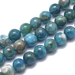 Apatite Natural Apatite Beads Strands, Round, 12mm, Hole: 1mm, about 32pcs/strand, 15.5 inch(39.5cm)
