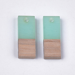 Turquoise Pâle Pendentifs en bois de résine et de noyer, rectangle, turquoise pale, 22.5~23x8.5~9x3.5mm, Trou: 2mm