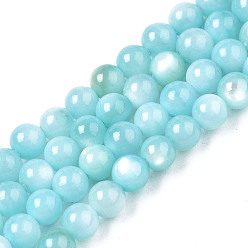 Bleu Ciel Clair Eau douce naturelle de coquillage perles brins, teint, ronde, lumière bleu ciel, 2.5mm, Trou: 0.5mm, Environ 122~136 pcs/chapelet, 14.57 pouces~15.63 pouces (37cm~39.7cm)