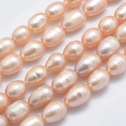 Light Salmon Natural Cultured Freshwater Pearl Beads Strands, Rice, Light Salmon, 8~13x7mm, Hole: 0.8mm, about 42pcs/strand, 14 inch(35.5cm)
