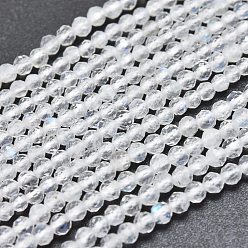 Rainbow Moonstone Natural Rainbow Moonstone Beads Strands, Faceted, Round, 2mm, Hole: 0.5mm, about 158pcs/Strand, 15.55 inch(39.5cm)
