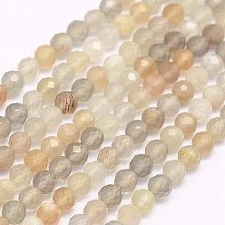 Multi-Moonstone Brins de perles naturelles multi-moonstonee, facette, ronde, 3mm, Trou: 0.5mm, Environ 132 pcs/chapelet, 15.7 pouce (40 cm)