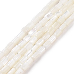 Blanc Brins de perles de coquillages naturels de troca, teint, colonne, blanc, 5x3mm, Trou: 0.8mm, Environ 82~83 pcs/chapelet, 15.63'' (39.7 cm)
