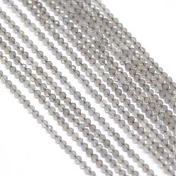Gray Natural Gray Chalcedony Bead Strands, Faceted, Round, 2~2.5mm, Hole: 0.5mm, about 145pcs/strand, 12.5 inch~12.9 inch(320~330mm)