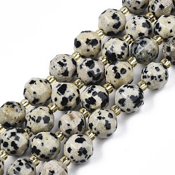 Jaspe Dalmate Naturelles dalmate jaspe perles brins, avec des perles de rocaille, tambour à barillet bicône à facettes, 7~8x7~8mm, Trou: 1mm, Environ 35~38 pcs/chapelet, 13.82 pouces ~ 14.84 pouces (35.1~37.7 cm)