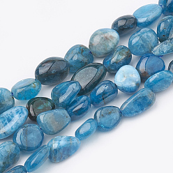 Apatite Natural Apatite Beads Strands, Oval, 5~15x4~10x2~6mm, Hole: 1mm, about 40~60pcs/strand, 15.7 inch