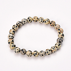 Dalmatian Jasper Natural Dalmatian Jasper Beaded Stretch Bracelets, Round, 2-1/8 inch(55mm), Bead: 8~9mm