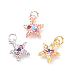 Mixed Color Brass Micro Pave Cubic Zirconia Charms, Starfish/Sea Stars, Mixed Color, 14.5x12x3mm, Hole: 3mm