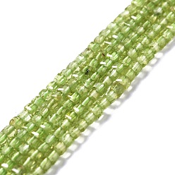 Peridot Natural Peridot Beads Strands, Faceted, Cube, 2.5x2.5x2.5mm, Hole: 0.7mm, about 170pcs/strand, 15.35''(39cm)